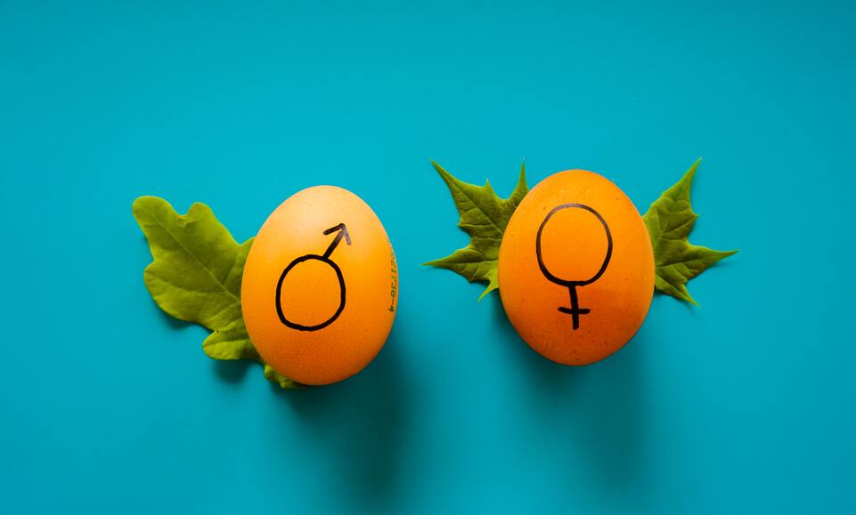 60982e151110fd51a5ba2dbc Dainis Graveris Lpy Hstho7 Lm Unsplash